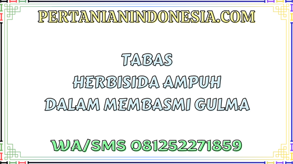 Tabas Herbisida Ampuh Dalam Membasmi Gulma